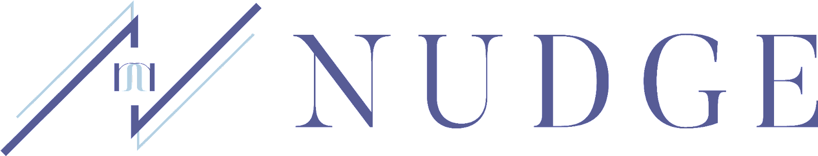 Nudge